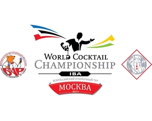 World Cocktail Championship-2014, финал отборочного тура